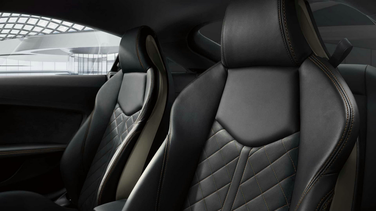 audi-tt-memorial-edition (4).jpg