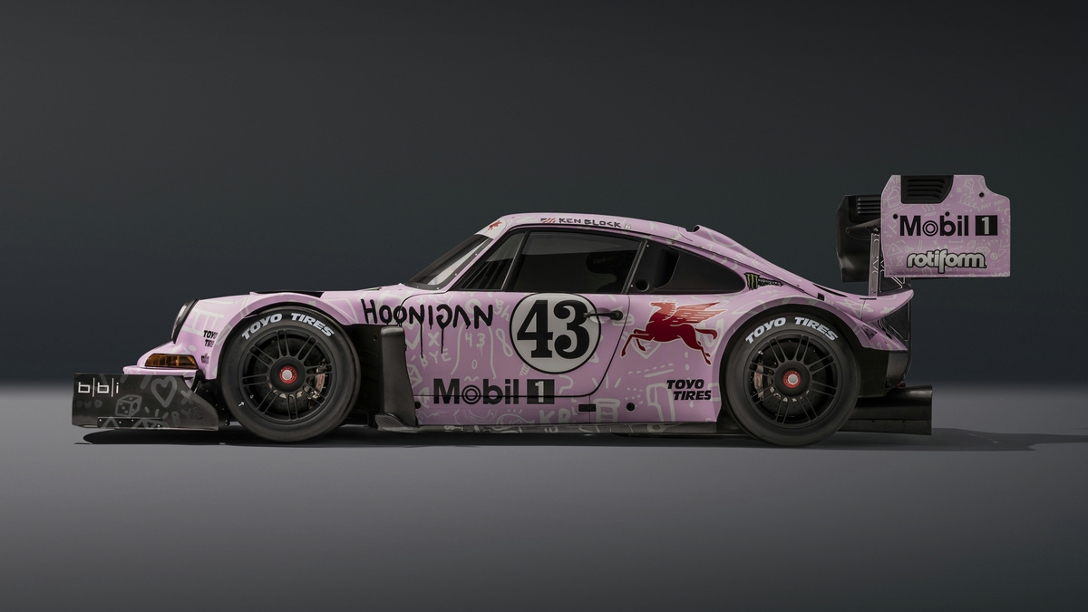 Hoonipigasus_2_0.jpg